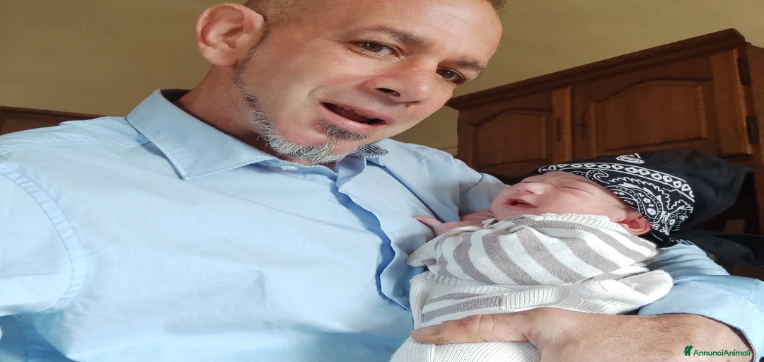 Immagine della galleria {{count}}