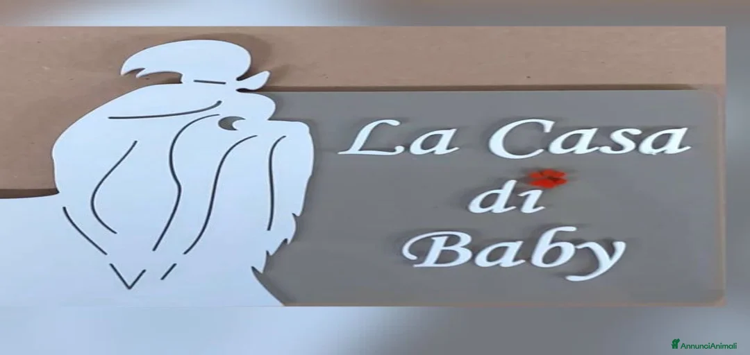 Immagine della galleria {{count}}