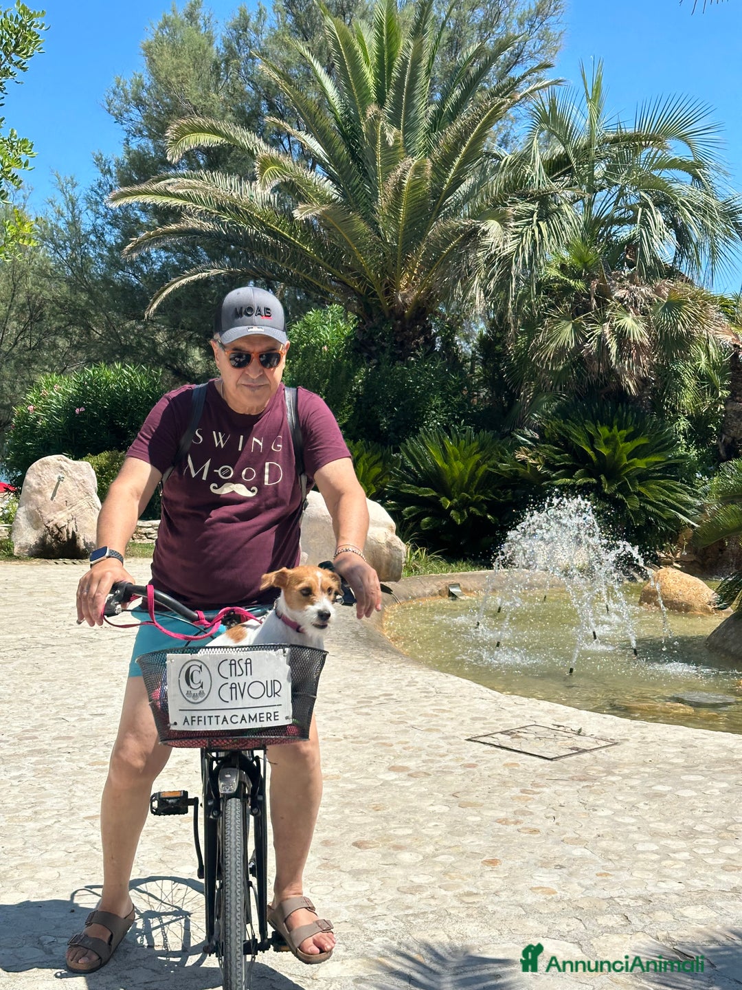 Immagine della galleria {{count}}