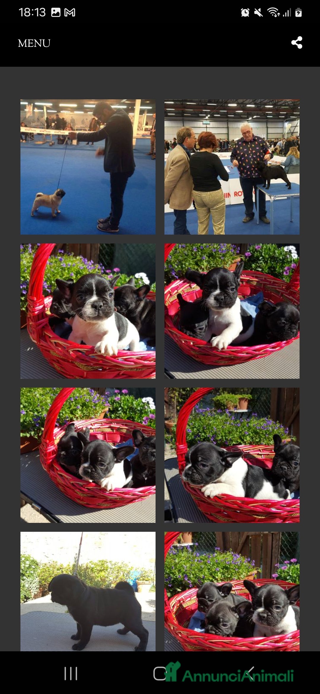 Immagine della galleria {{count}}