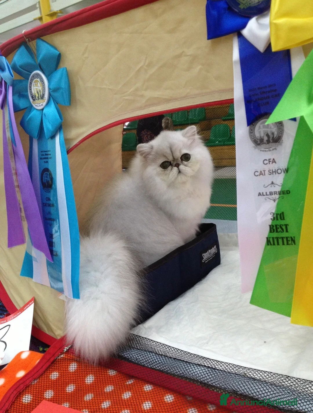 Immagine della galleria {{count}}