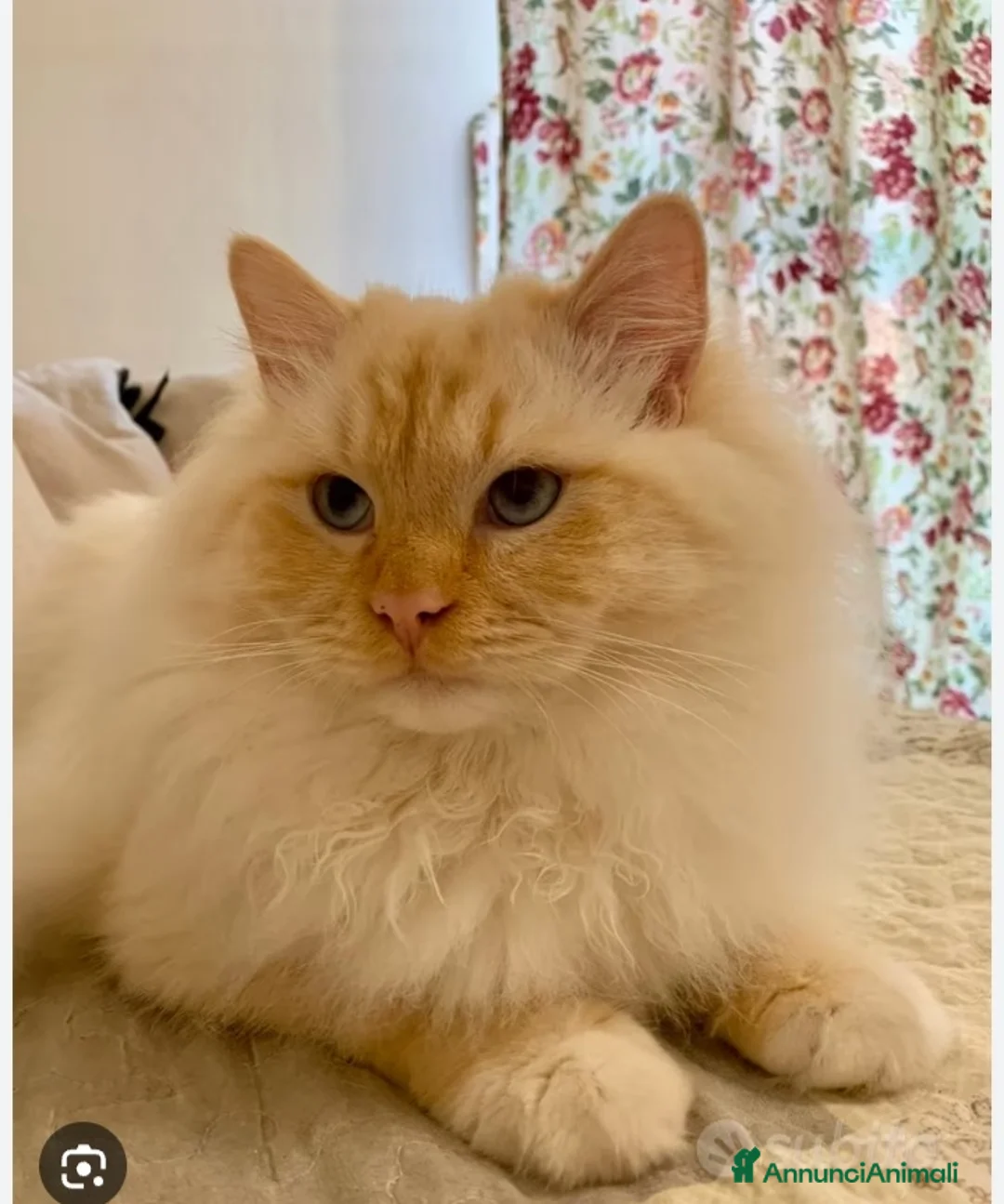 Immagine della galleria {{count}}