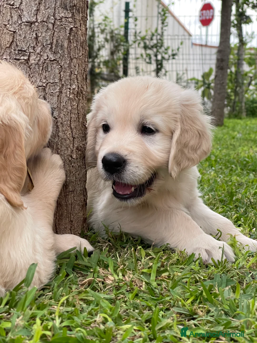 Immagine della galleria {{count}}