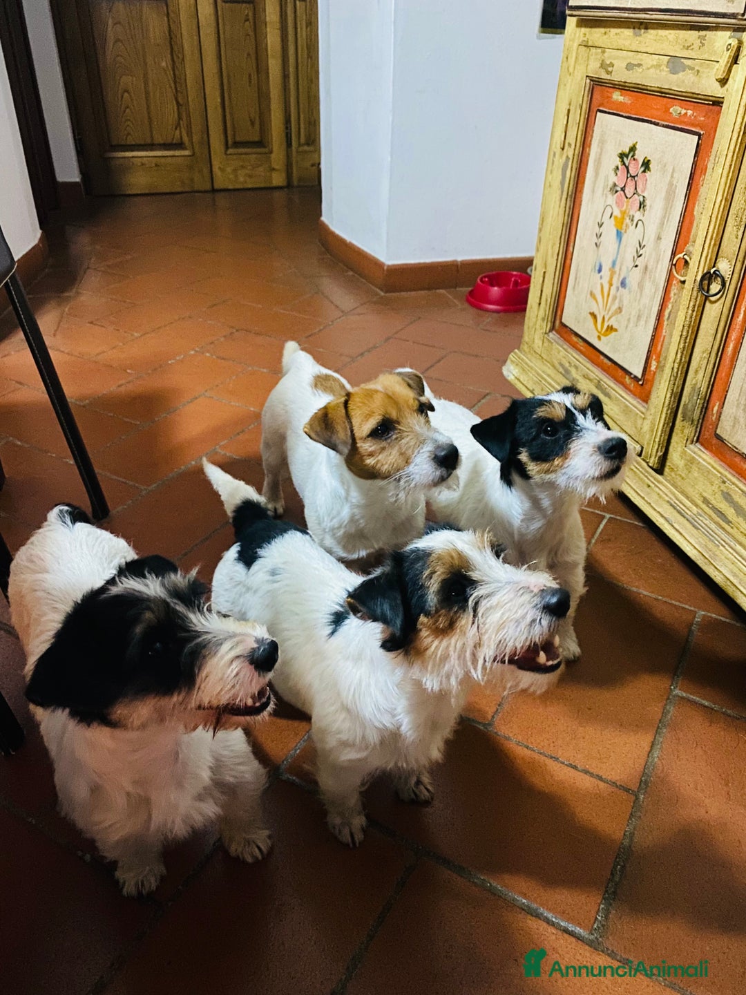 Immagine della galleria {{count}}