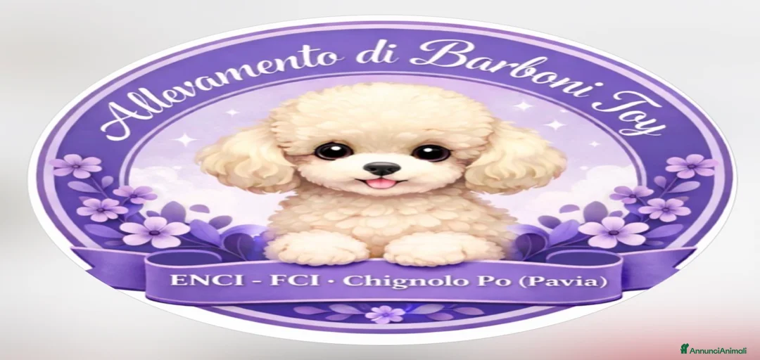 Immagine della galleria {{count}}