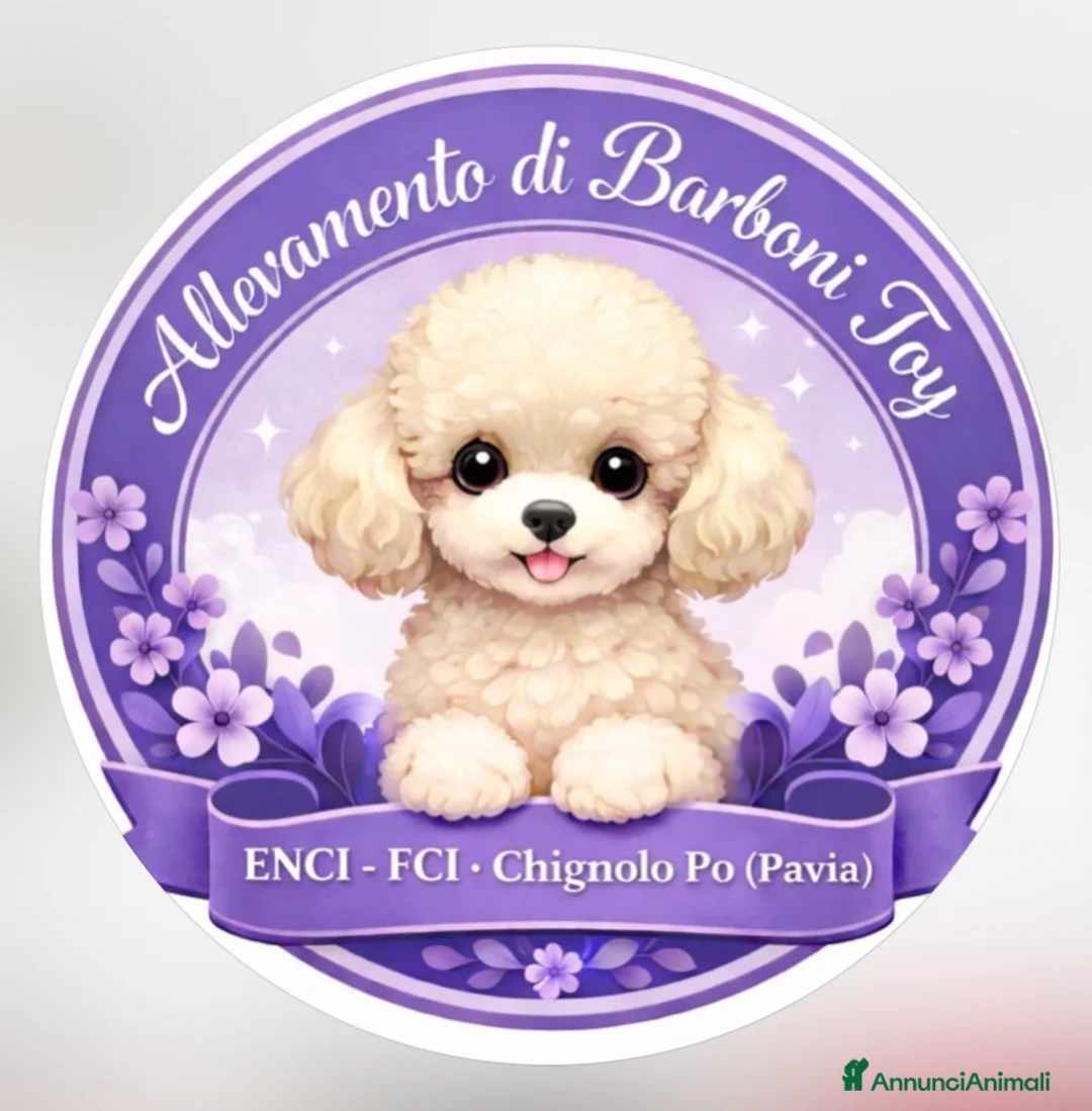 Immagine della galleria {{count}}