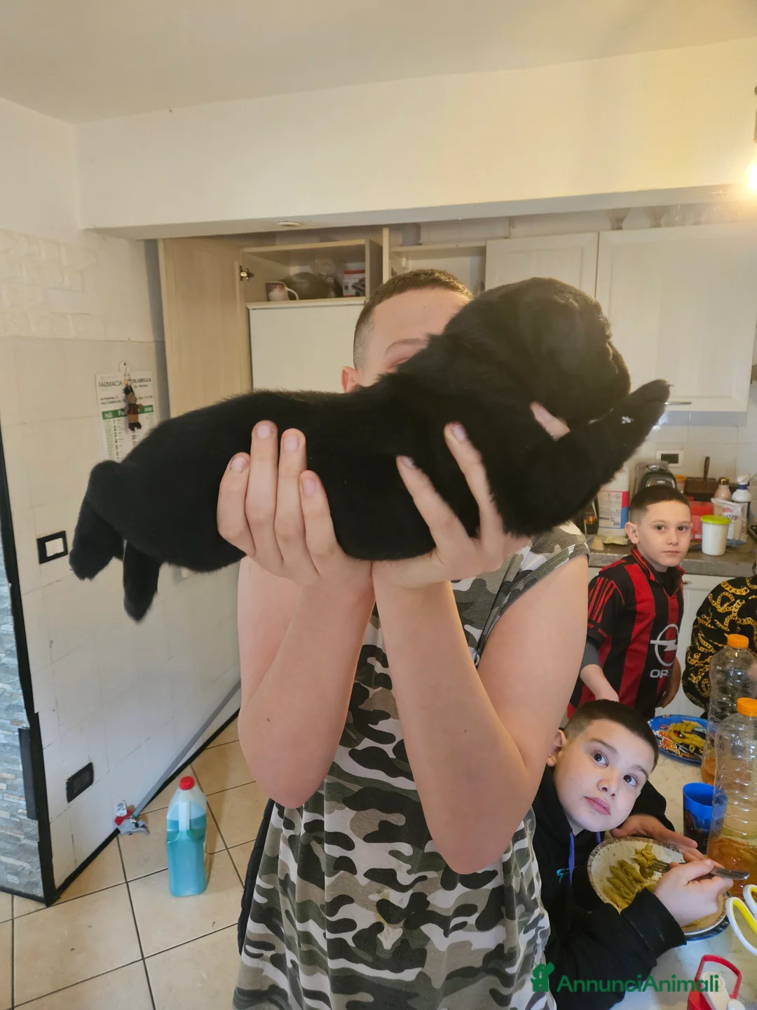 Labrador cani in vendita: Cucciolo Labrador Retriever nero - Annuncio 4