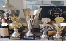 Pastore Tedesco cani in regalo:  proprietario regala splendidi cuccioli  - Annuncio 16