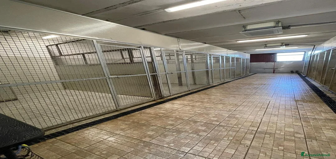 Immagine della galleria {{count}}