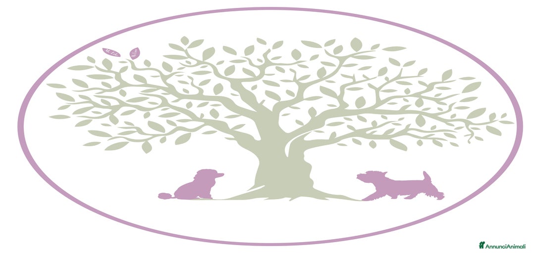 Immagine della galleria {{count}}