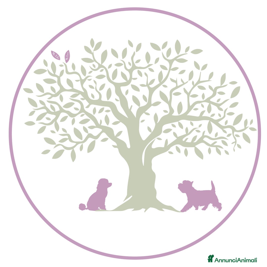 Immagine della galleria {{count}}