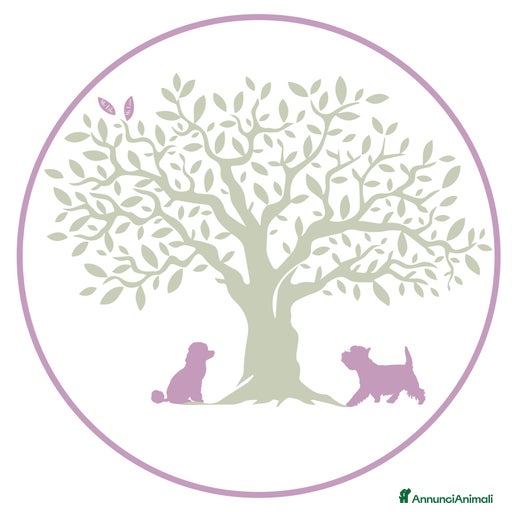 Immagine della galleria {{count}}