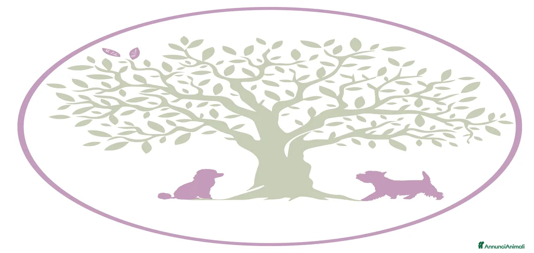 Immagine della galleria {{count}}