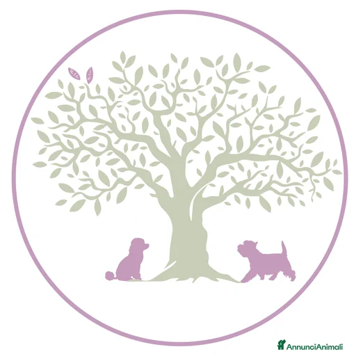 Immagine della galleria {{count}}