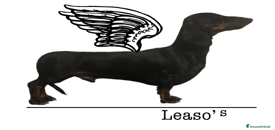 Immagine della galleria {{count}}