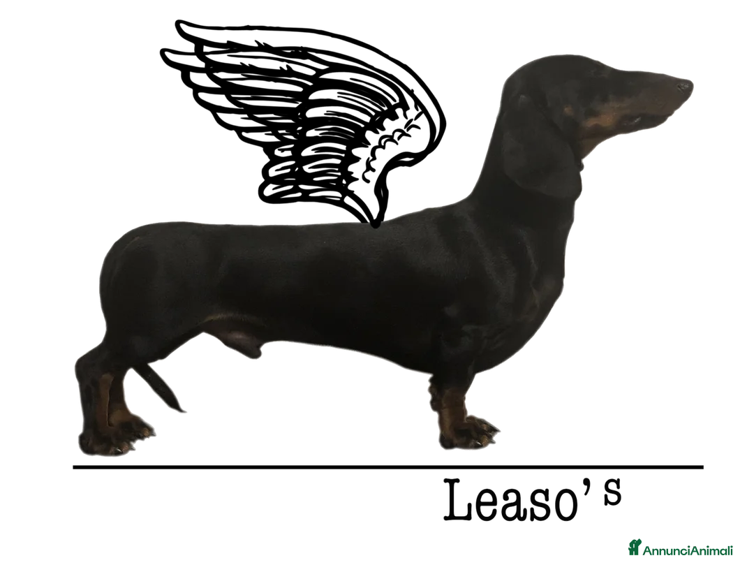 Immagine della galleria {{count}}