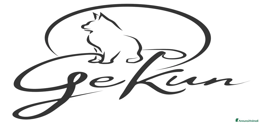 Immagine della galleria {{count}}