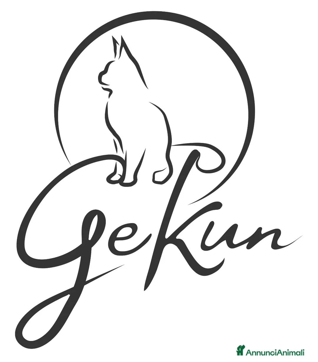 Immagine della galleria {{count}}