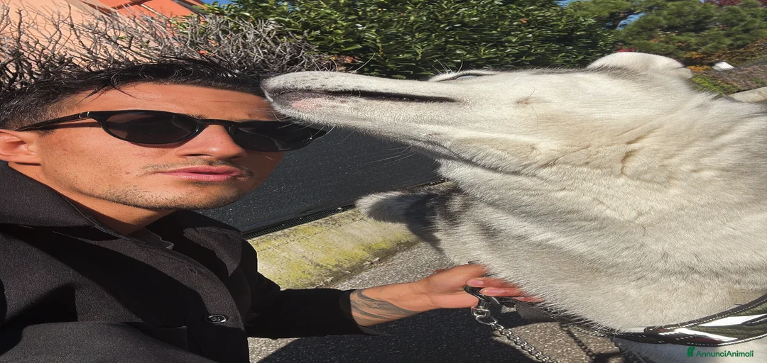 Immagine della galleria {{count}}