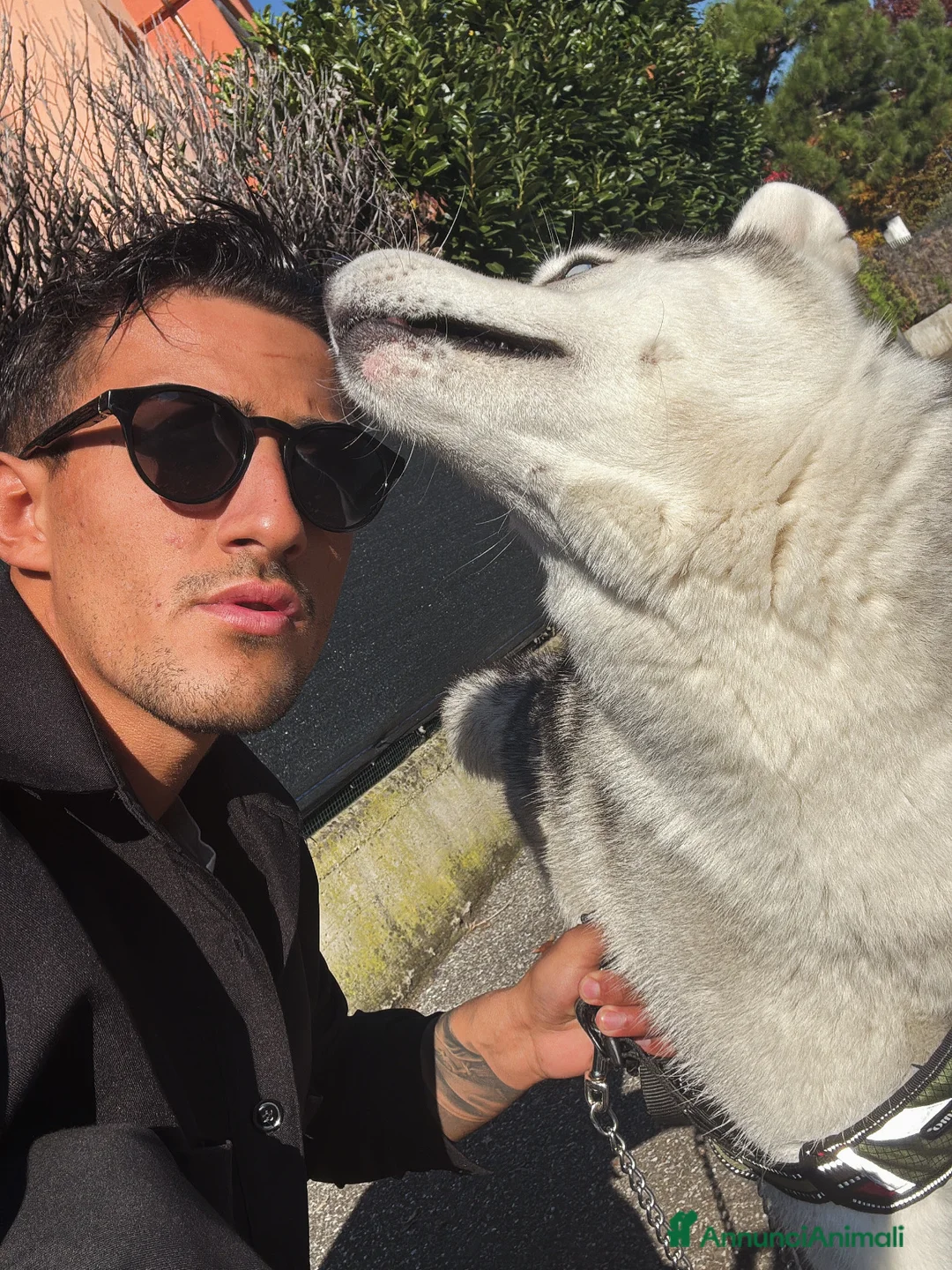 Immagine della galleria {{count}}