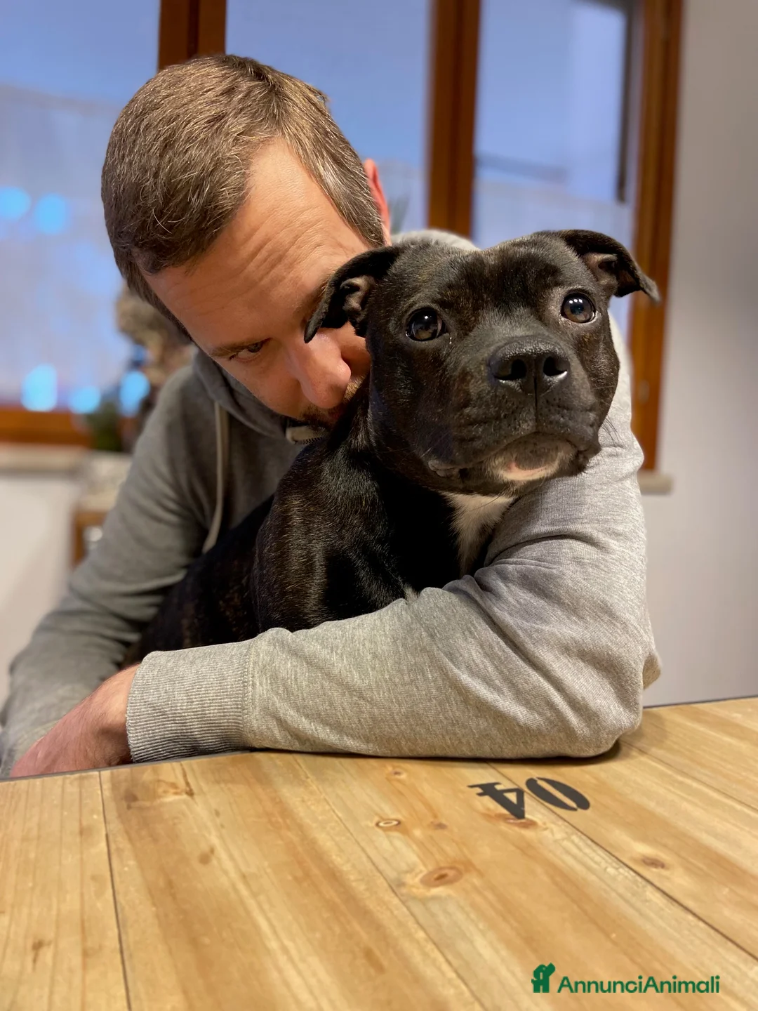 Immagine della galleria {{count}}