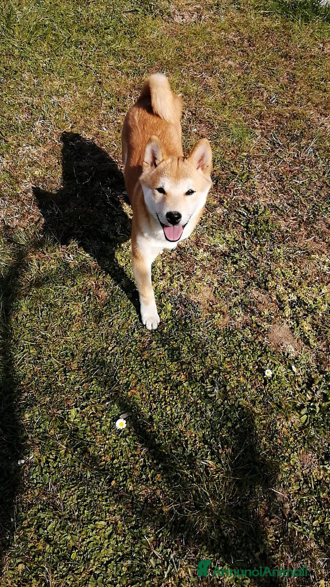 Immagine della galleria {{count}}