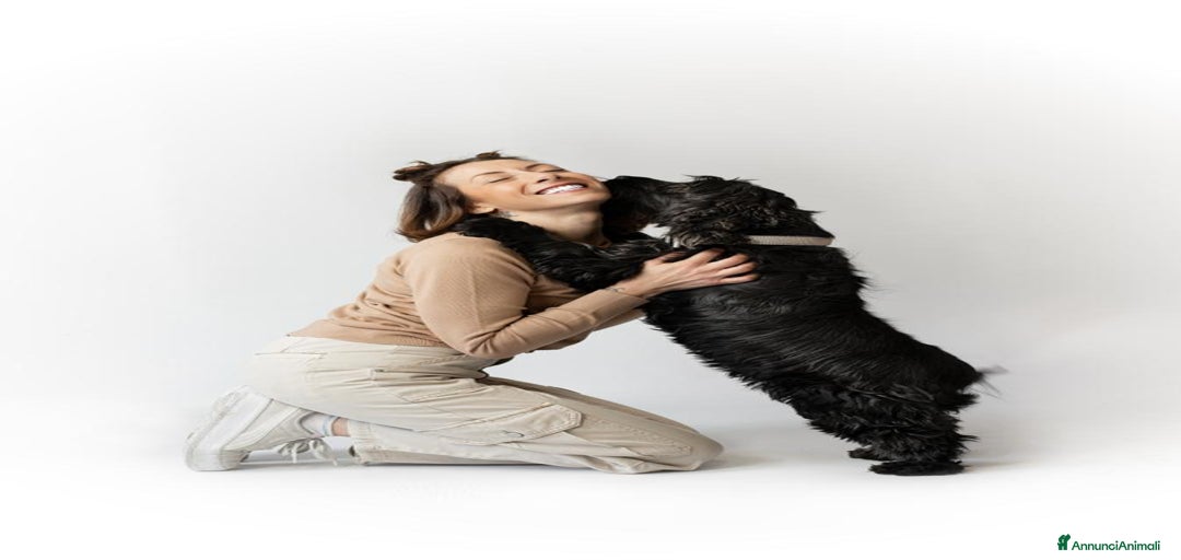 Immagine della galleria {{count}}