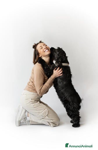 Immagine della galleria {{count}}