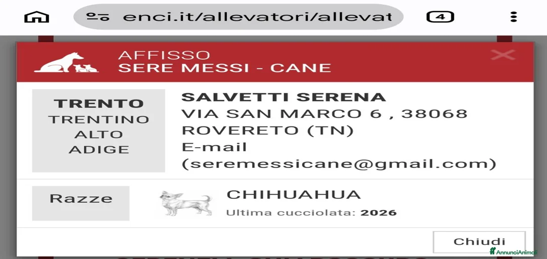 Immagine della galleria {{count}}