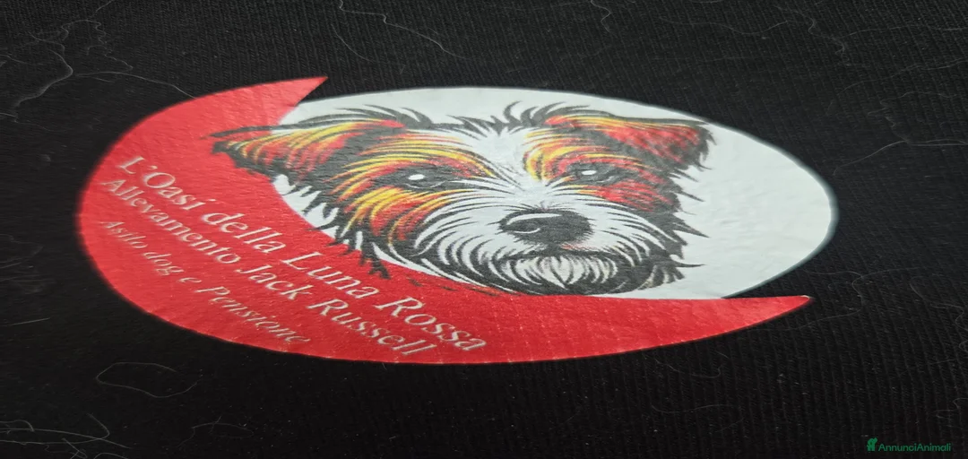 Immagine della galleria {{count}}