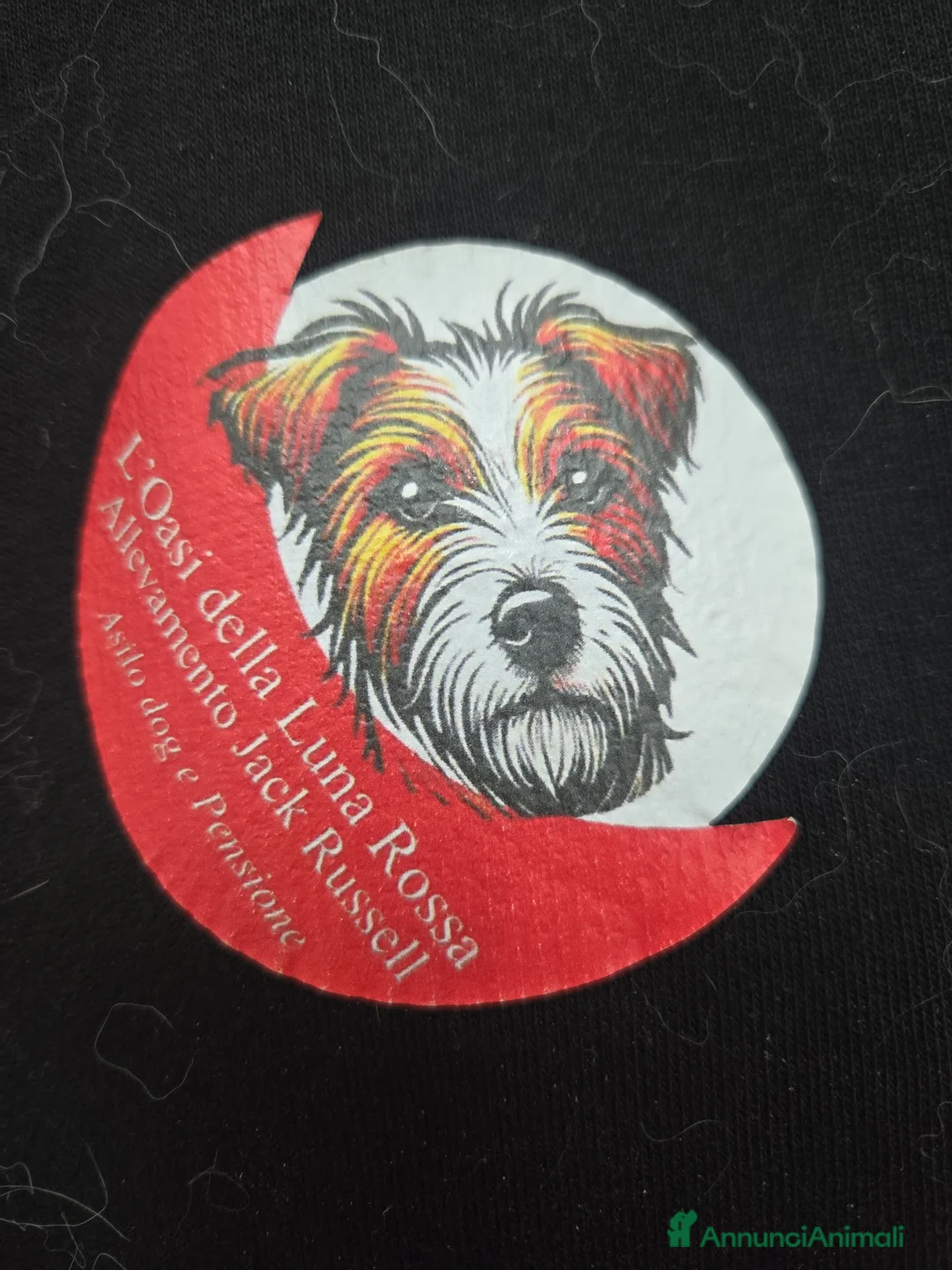 Immagine della galleria {{count}}