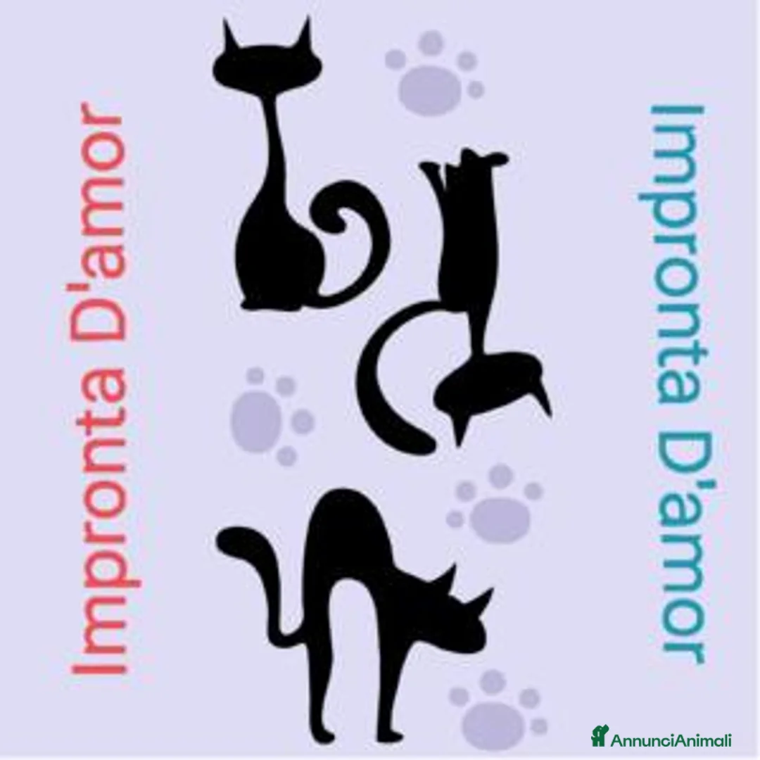 Immagine della galleria {{count}}