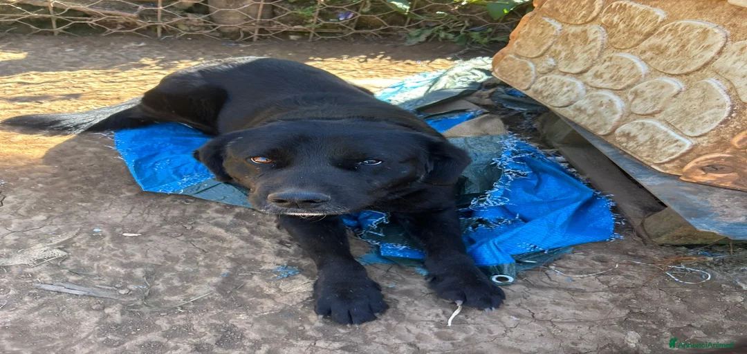 Immagine della galleria {{count}}