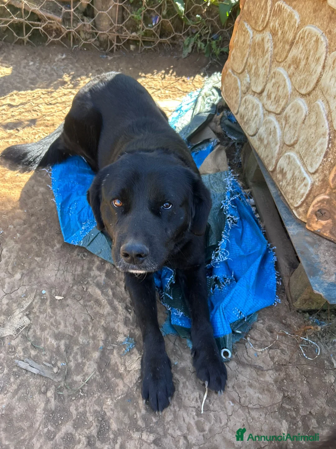 Immagine della galleria {{count}}