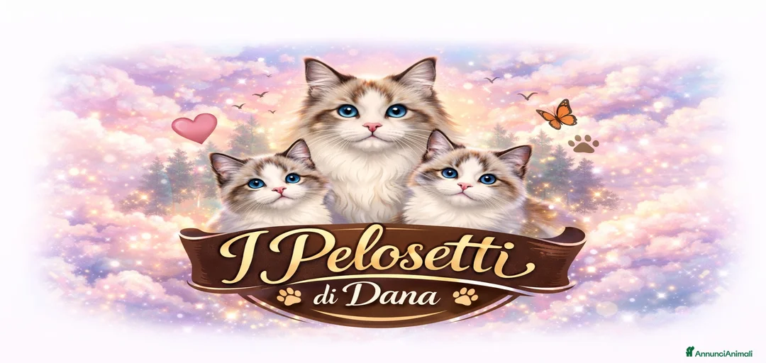Immagine della galleria {{count}}