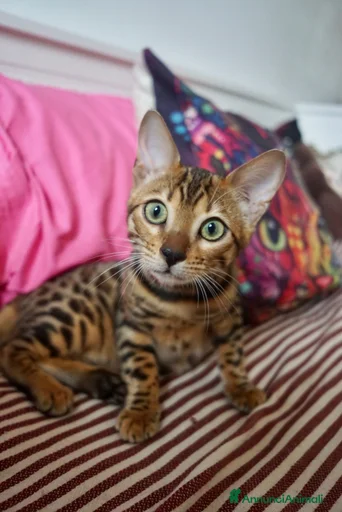 Immagine della galleria {{count}}