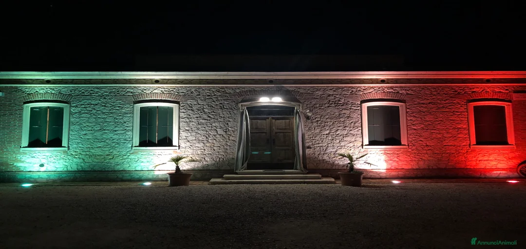 Immagine della galleria {{count}}