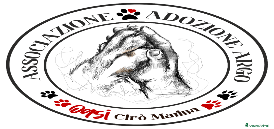 Immagine della galleria {{count}}