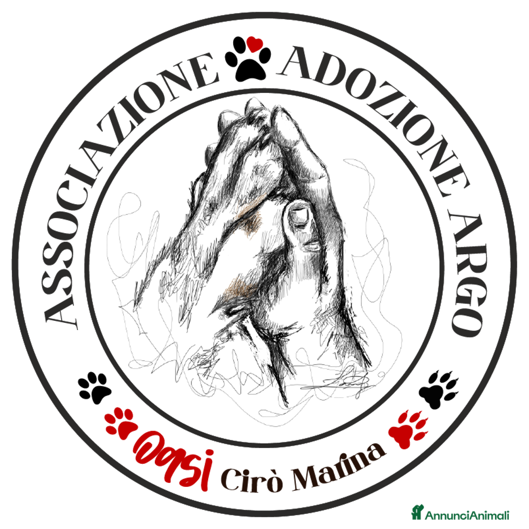 Immagine della galleria {{count}}