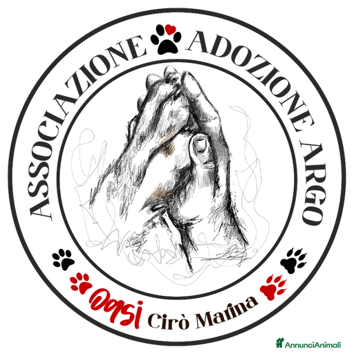 Immagine della galleria {{count}}