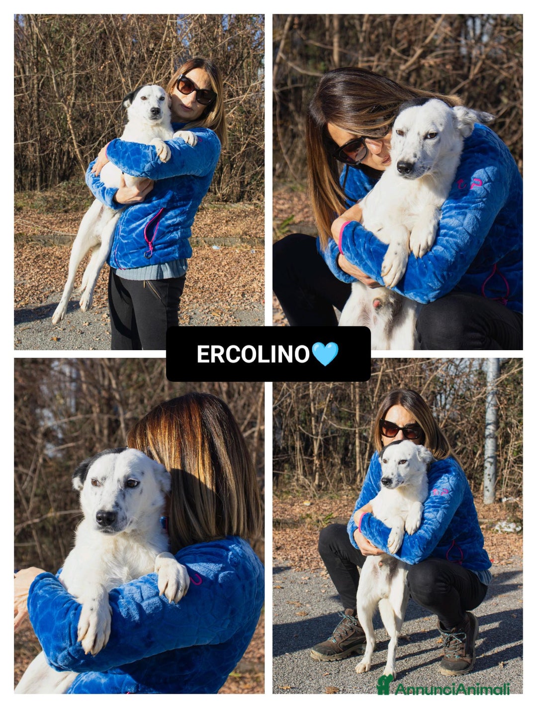 Altre razze cani in regalo: ercolino - Annuncio 1