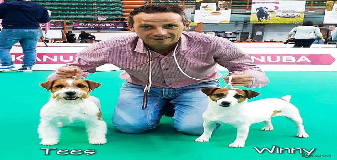 Immagine della galleria {{count}}