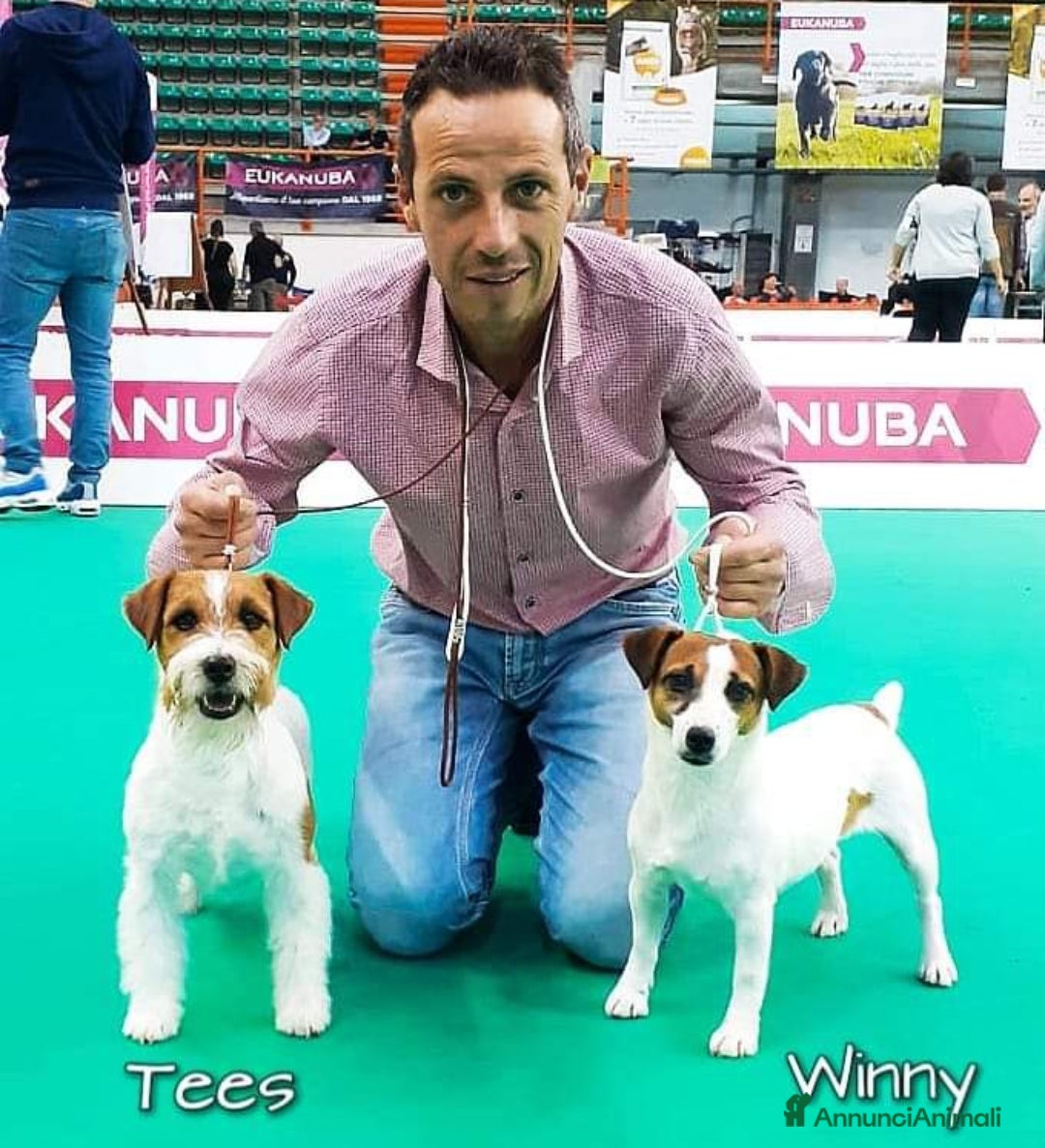 Immagine della galleria {{count}}