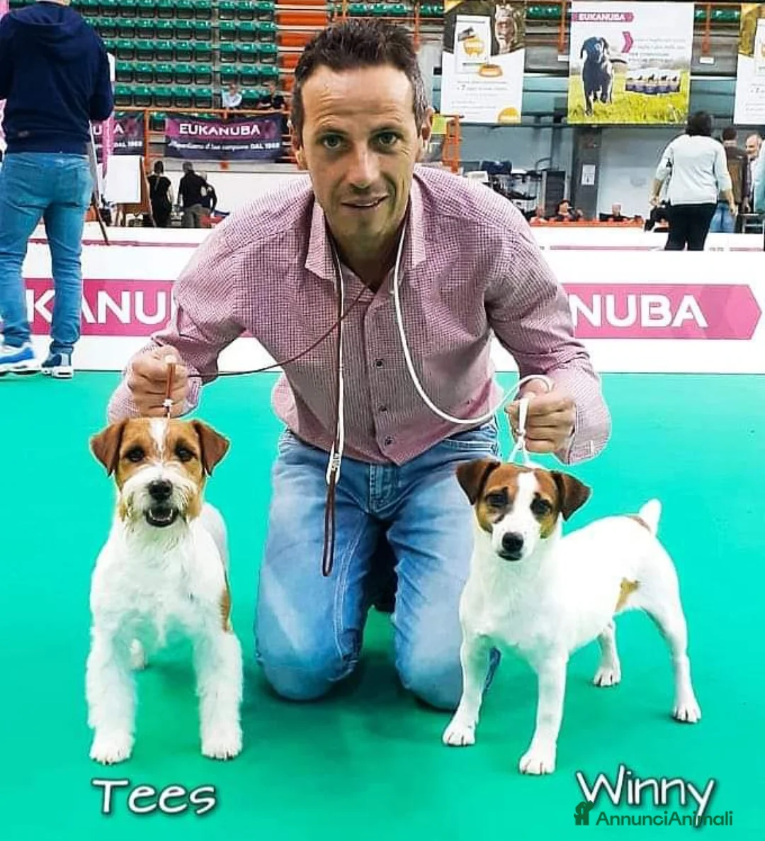 Immagine della galleria {{count}}