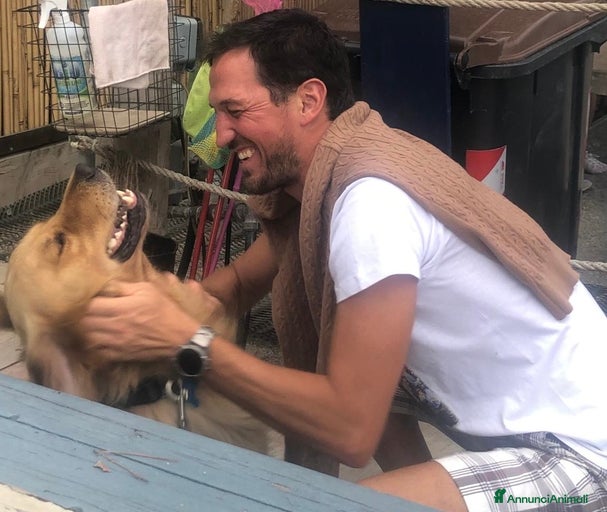 Immagine della galleria {{count}}