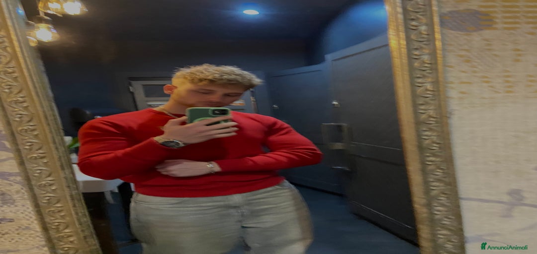 Immagine della galleria {{count}}