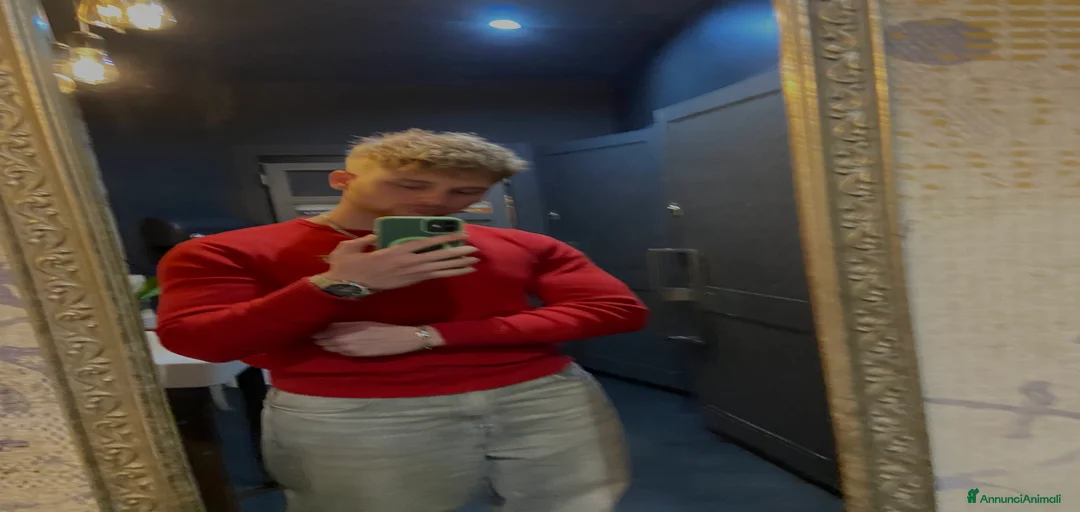 Immagine della galleria {{count}}