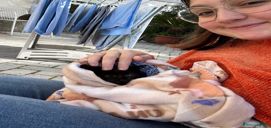 Immagine della galleria {{count}}