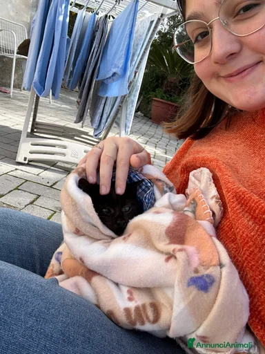 Immagine della galleria {{count}}