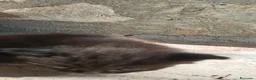 Meticcio gatti in regalo: Gattini cercano casa - Annuncio 4